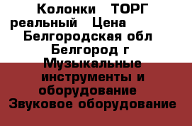 Колонки . ТОРГ реальный › Цена ­ 1 000 - Белгородская обл., Белгород г. Музыкальные инструменты и оборудование » Звуковое оборудование   